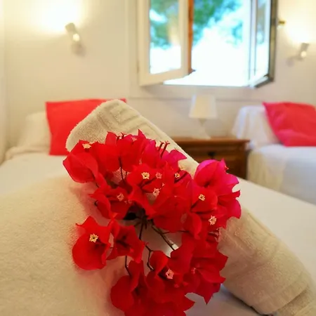 My Little House In בית נופש *